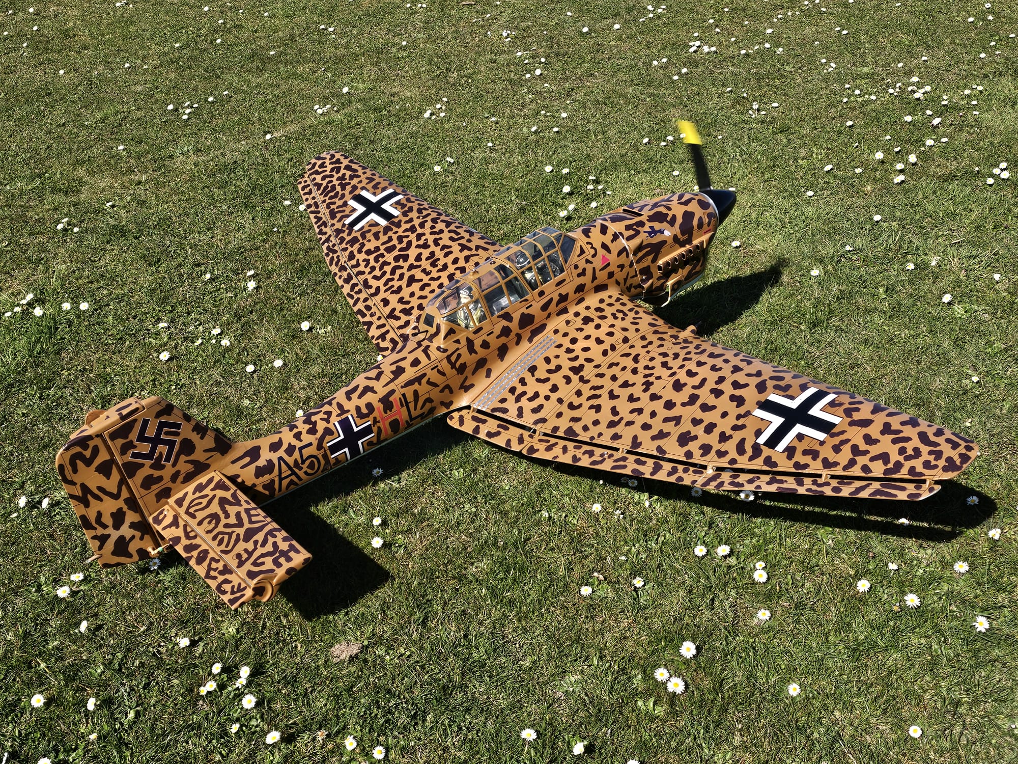 WhatsApp Image 2025-04-02 at 08.27.01_f4380ba9